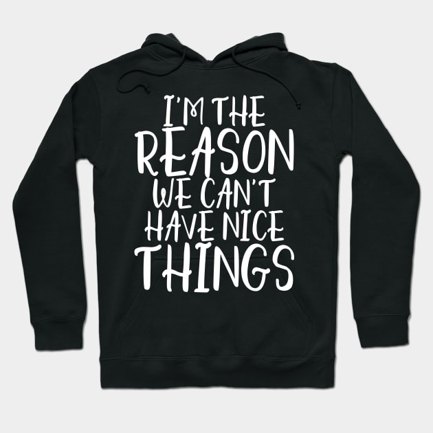 I'm the reason we can't have nice things Hoodie by kapotka